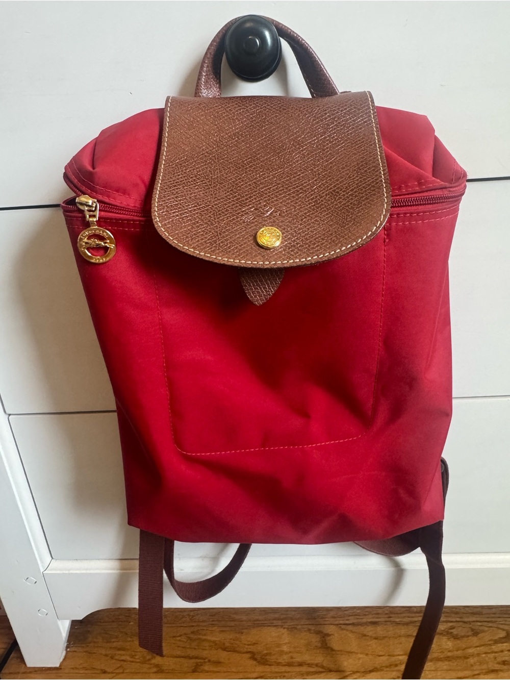 Longchamp Backpack with Brown Leather Flap - Classic Women's Bag